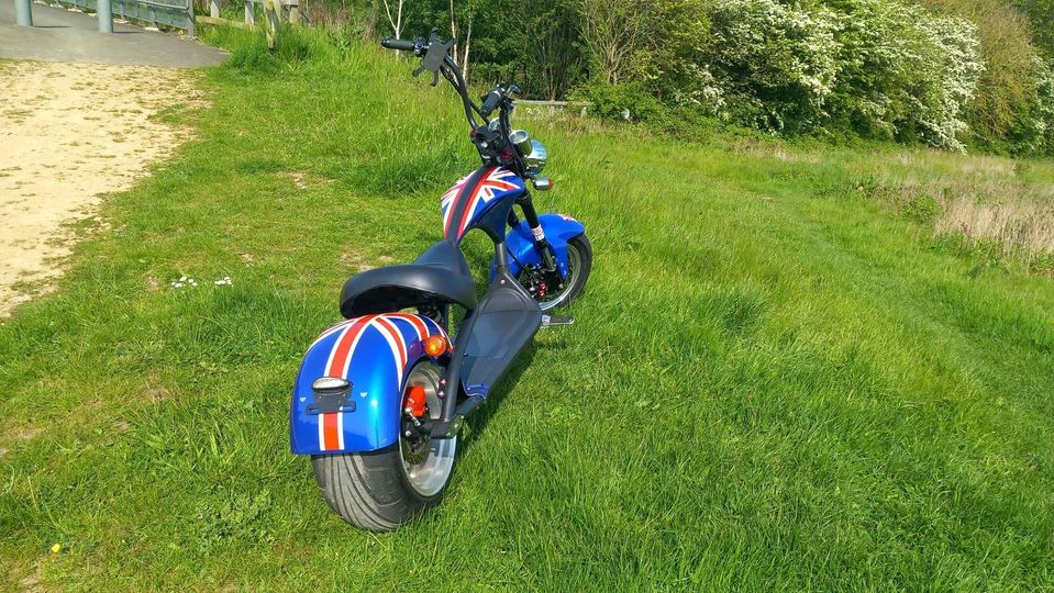 City coco 3000 eco chopper