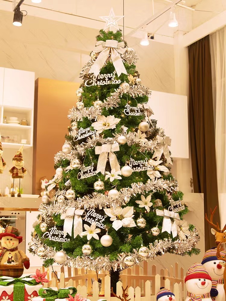 (two) Christmas Tree package large household luminous decorations